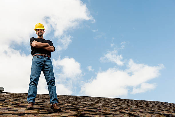 Best Roof Gutter Cleaning  in Piney, AR